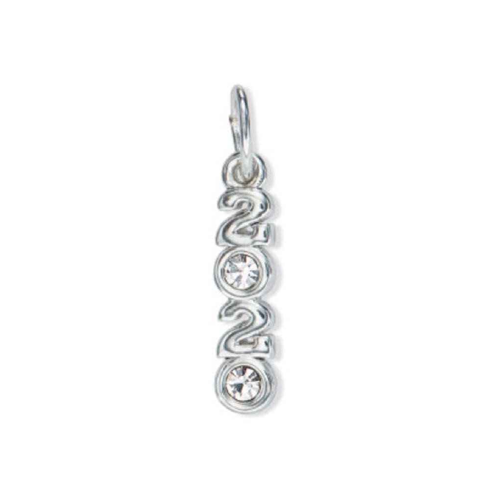 2020 Charm - silver